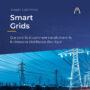 Smart Grids et leur rôle dans la distribution de l'électricité