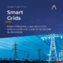 Smart Grids e seu papel na distribuição de eletricidade
